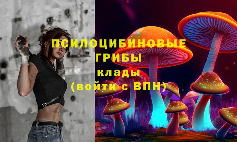 Галлюциногенные грибы Magic Shrooms  Электросталь 